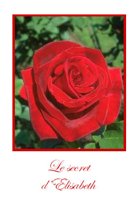 Secret, rose