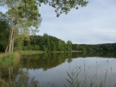 Lac